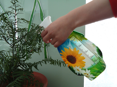 Vir�glocsol�, permetez�