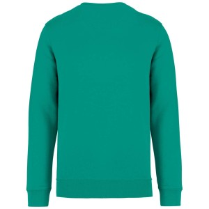Native Spirit Drifter pulver, Gemstone Green (pulver)