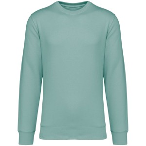 Native Spirit Drifter pulver, Jade Green (pulver)