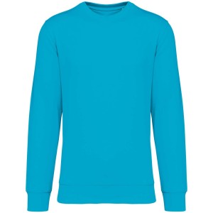 Native Spirit Drifter pulver, Light Turquoise (pulver)
