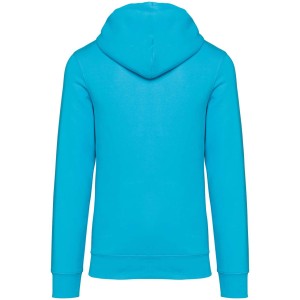 Native Spirit Surfer kapucnis pulver, Light Turquoise (pulver)