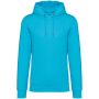 Native Spirit Surfer kapucnis pulver, Light Turquoise