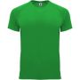 Roly Bahrain frfi sportpl, Green Fern
