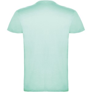 Roly Beagle frfi pamutpl, Mint (T-shirt, pl, 90-100% pamut)