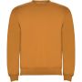 Roly Clasica uniszex pulver, Curry Yellow