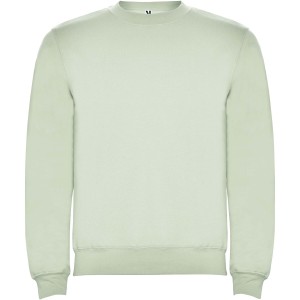 Roly Clasica uniszex pulver, Mist Green (pulver)