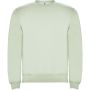 Roly Clasica uniszex pulver, Mist Green