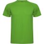 Roly Montecarlo frfi sportpl, Green Fern