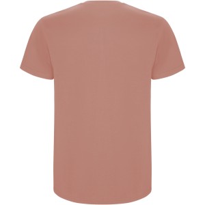 Roly Stafford frfi pamutpl, Clay Orange (T-shirt, pl, 90-100% pamut)