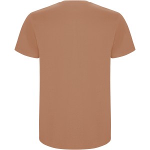 Roly Stafford frfi pamutpl, Greek Orange (T-shirt, pl, 90-100% pamut)