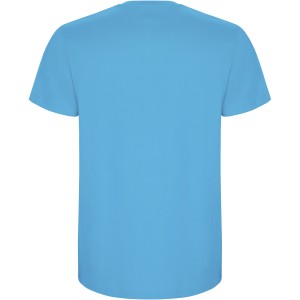 Roly Stafford frfi pamutpl, Turquois (T-shirt, pl, 90-100% pamut)