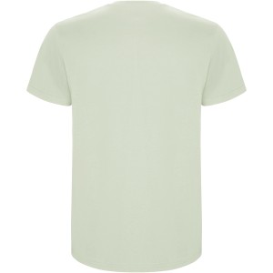 Roly Stafford gyerek pamutpl, Mist Green (T-shirt, pl, 90-100% pamut)