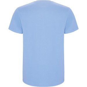 Roly Stafford gyerek pamutpl, Sky blue (T-shirt, pl, 90-100% pamut)