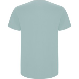 Roly Stafford gyerek pamutpl, Washed Blue (T-shirt, pl, 90-100% pamut)
